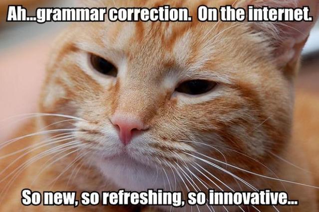 [Image: grammar_correction_cat.jpg]